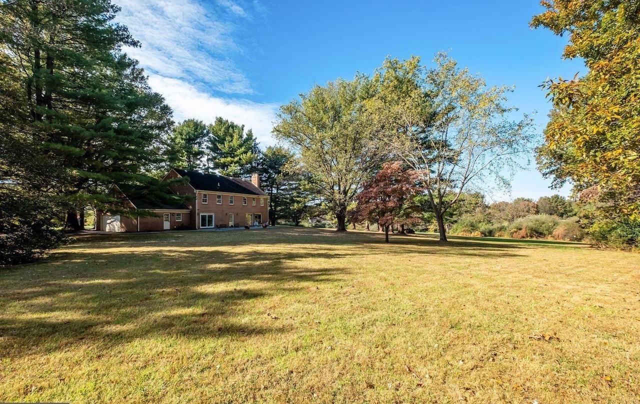 Expansive Backyard Grounds