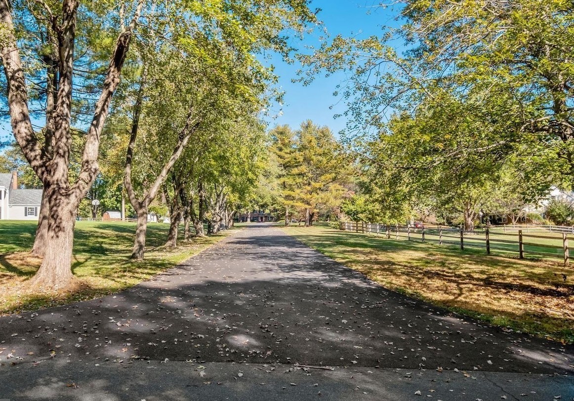 Serene Tree-Lined Driveway